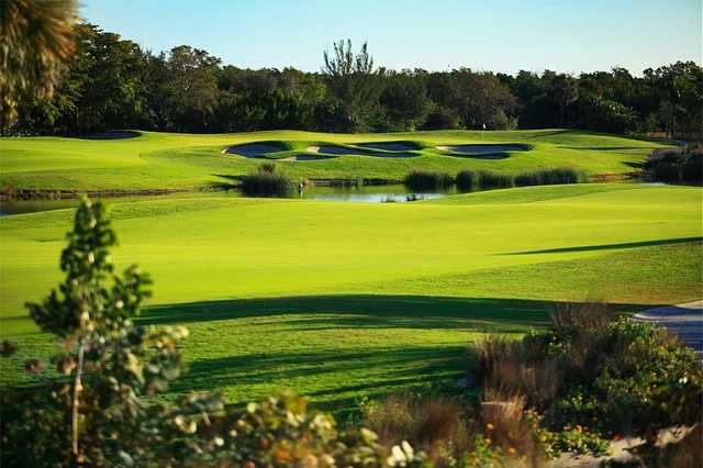 Hammock Bay Golf Club Naples