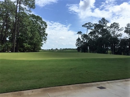 Golf Club of the Everglades Practice Green