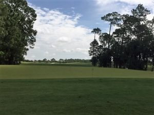 Golf Club of the Everglades Putting Green