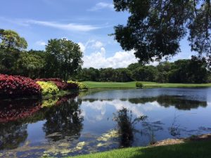 Naples Florida Gated Golf Communities