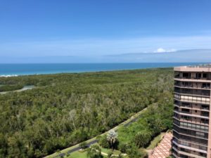 SWFL Luxury Homes for sale in Pelican Bay