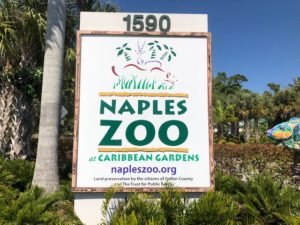 Naples Zoo attractions