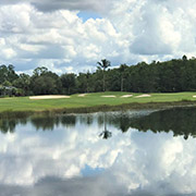Fort Myers Golf Properties