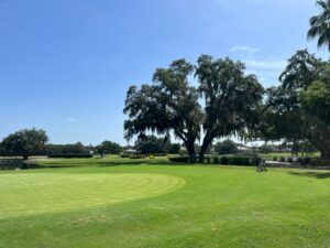 Rosedale Golf Club Sarasota FL
